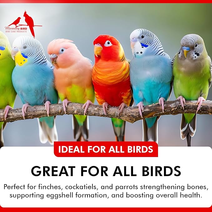 Morning Bird Thrive 6 Oz - Multi-Vitamin Bird Supplement Designed for Immune and Recovery Support - Formulated for Sick or Injured Birds - Protein Supplement and Energy Booster for All Adult Birds