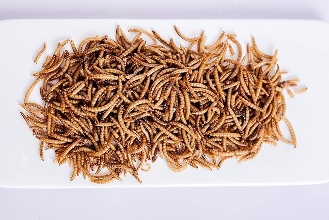 kimoe Non-GMO Bulk Dried Mealworms 10LB Bag for Chickens, Ducks & Wild Birds — 100% Natural High-Protein Feed to Boost Egg Production, Feather Health & Immunity