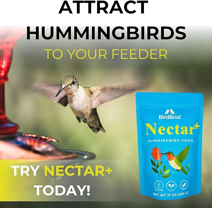 BIRDBROS Hummingbird Nectar Powder Nectar+ Hummingbird Food for Feeders – All-Natural, Dye-Free, No Boil, Easy Mix – Pure Cane Sugar, Hummingbird Feeder Refill, Made in USA – Makes 96 oz