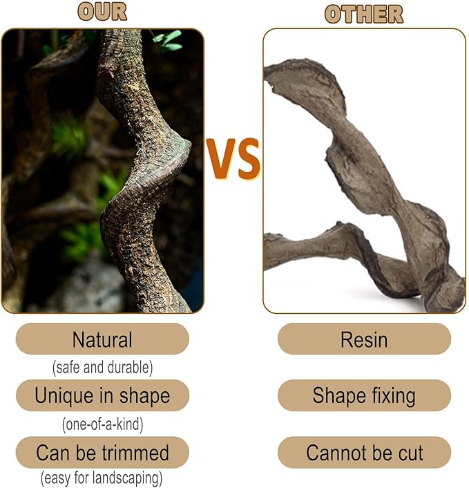 Reptile Decor Natural Forest Branch Terrarium Habitat Decoration Lizard Climbing Tree Branch for Bearded Dragon Gecko Snake Frog Chameleon Spider 8PCS