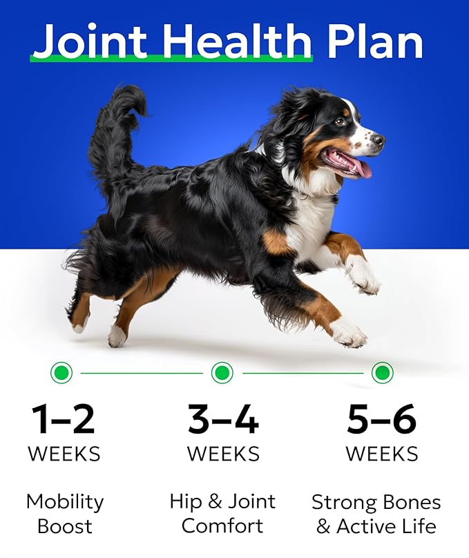 Glucosamine Chondroitin Dog Hip & Joint Supplement - Joint Pain Relief - Hip & Joint Chews for Dogs - Joint Support Large Breed - Senior Doggie Vitamin Pills Joint Health - (240 Treats - Bacon)