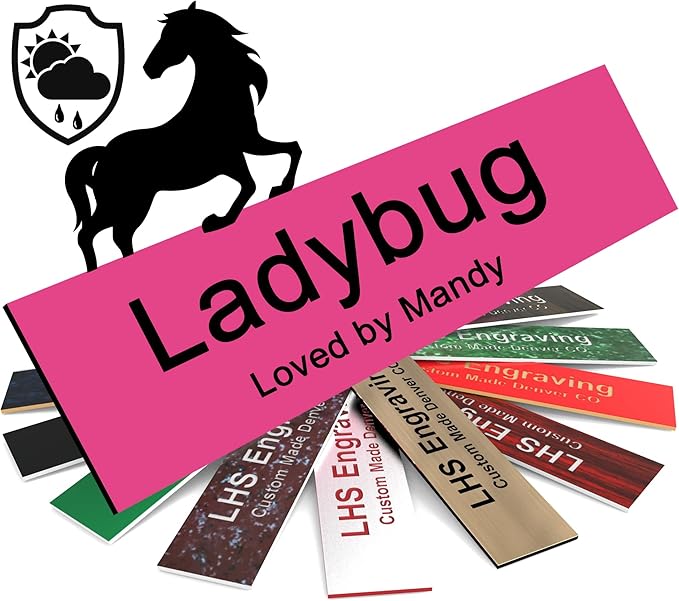 Personalized Horse Stall Name Plates, 2x10 Horse Stall Signs with Adhesive, All Weather UV Protected, Pink Plastic Black Letters - Made in USA - B12
