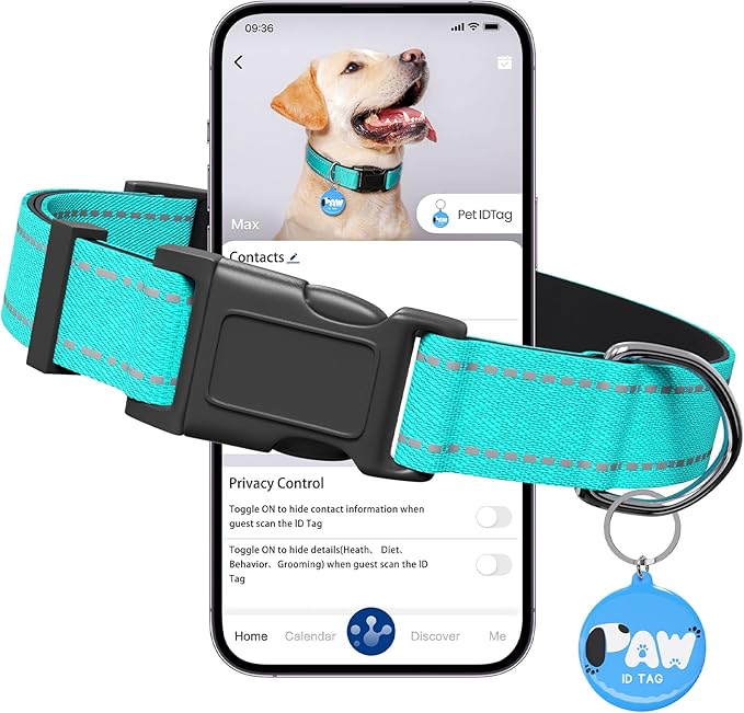 Reflective Dog Collar for Small Dogs with Dog Tags Personalized & Quick Release Buckle, Adjustable and Comfortable Nylon Pet Collar, Mint Green