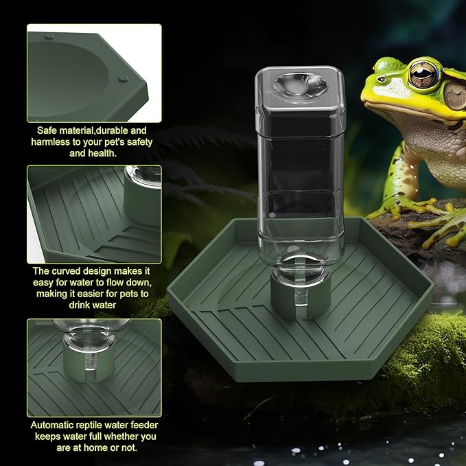 Reptile Water Dispenser-Bearded Dragon Water Bowl - Small Water Dish for Tortoise - Bowls for Reptiles & Amphibians (L)