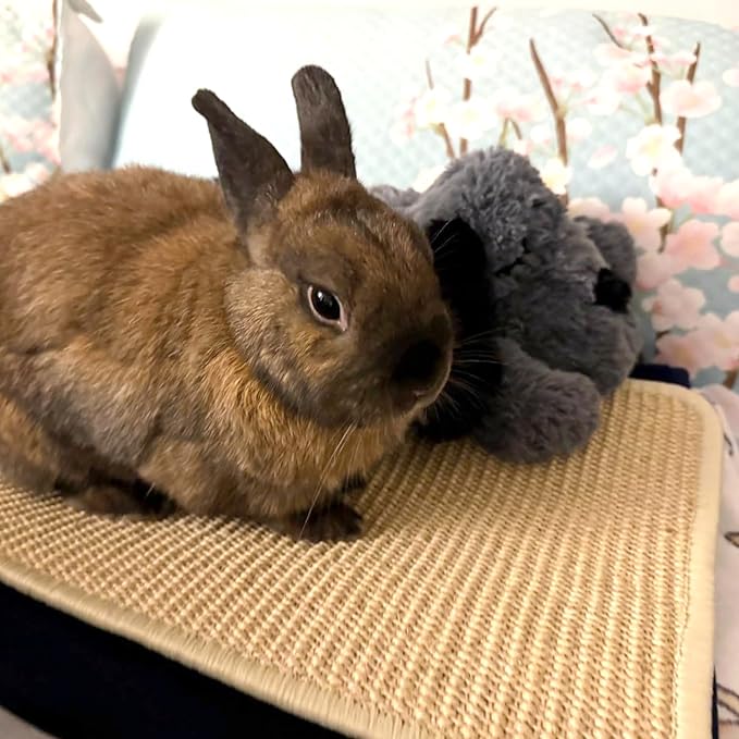 PODOO Bunny Scratch Pads, Sisal Rabbit Scratching Pad, Natural Rabbit Resting Mats for Cages, Forage Grass Mat Indoor Essentials Accessories for Guinea Pig Cat (4Pcs, 15.7x11.8 inches)