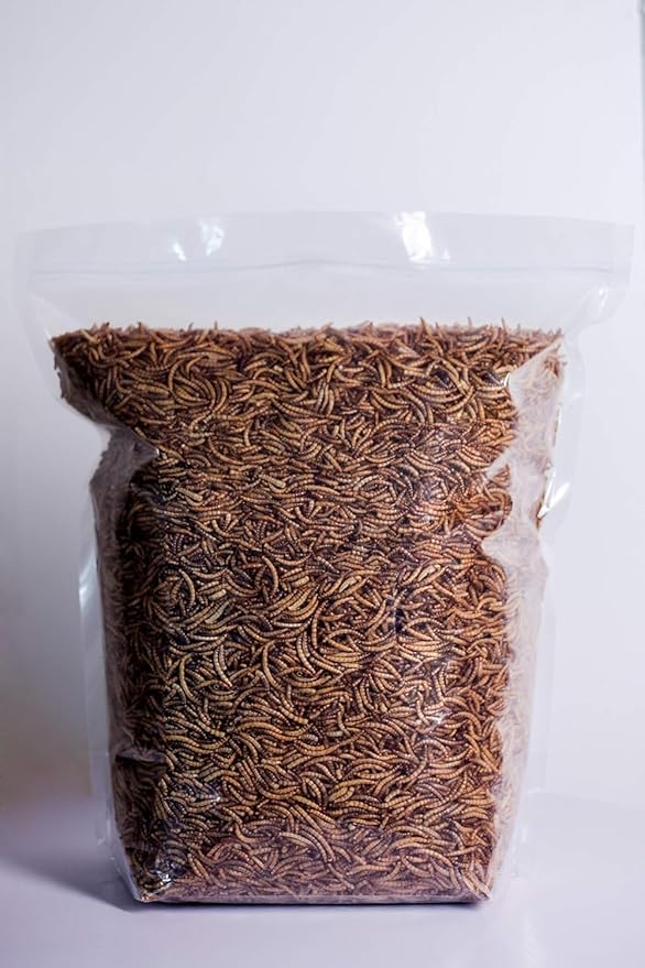 kimoe Non-GMO Bulk Dried Mealworms 10LB Bag for Chickens, Ducks & Wild Birds — 100% Natural High-Protein Feed to Boost Egg Production, Feather Health & Immunity