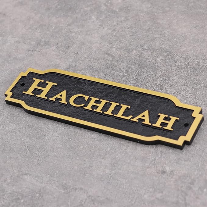 Acrylic Horse Stall Name Plate, 2.4" x 8" Personalized Stall Signs, UV Protected, Custom Pet Name Sign, All Weather Adhesive, Mounting (Gold, Style 2)