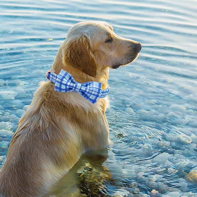 Elegant little tail Dog Collar with Bow - Blue Plaid Boy Dog Collar Cute Bowtie Pet Collar Adjustable Dog Collar for Large Dog