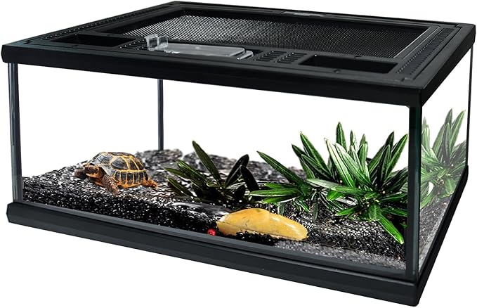 Reptile Glass Terrarium Tank 12"*8"*6",Small Cage Full View with Top Screen Ventilation Habitat Enclosure for Tarantula,Frog,Gecko,Insects,Spiders,Snakes,Hermit Crab,Turtle,Ball Python
