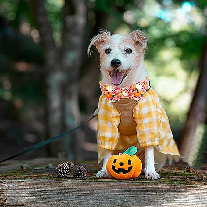 Fall Dog Collar, Pink Flower Pumpkin Print Adjustable Pet Collar Cute Cotton Soft Collars with Bow Tie Metal Buckle Holiday Puppy Collars Boy&Girl Gift for X-Large Dogs