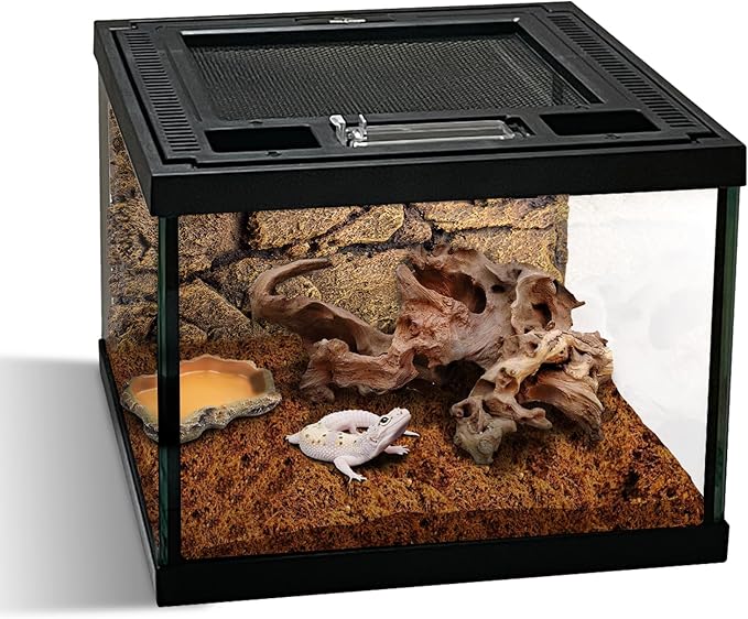 Mini Reptile Glass Terrarium Tank 8 * 8 * 6" Full View, Amphibians Box Habitat Enclosure Cage for Frog,Spiders,Dubia Cockroach,Praying Mantis,Cricket,Tarantula,Hermit Crab