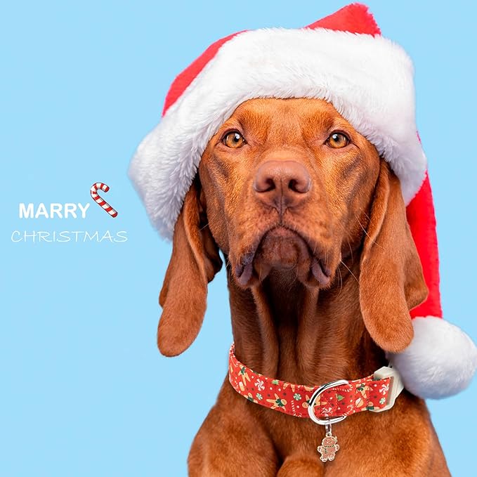 Faygarsle Christmas Dog Collar, Red Gingerbread Pattern, Plastic Buckle with Metal D-Ring, Holiday Pet Accessory, for Small Medium Large Dogs S