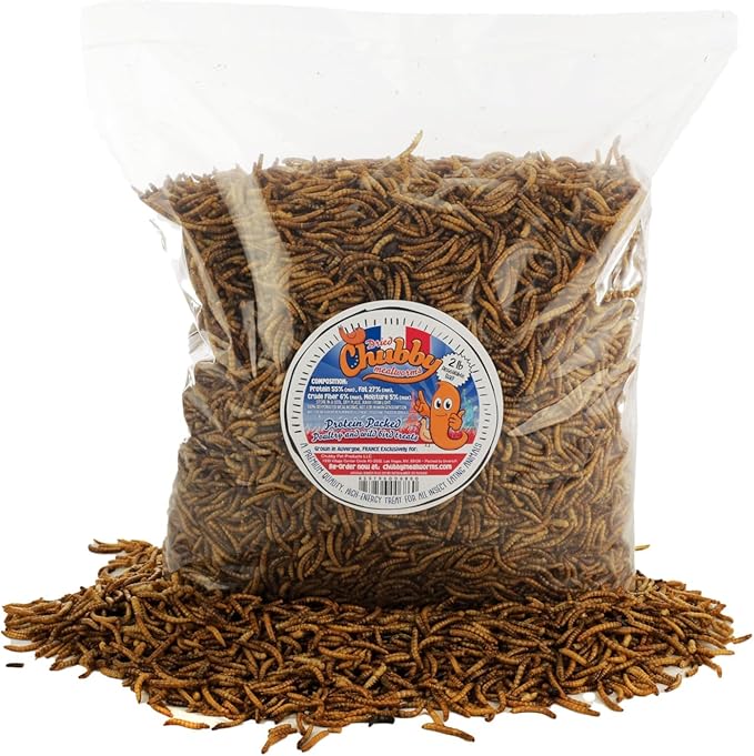 Chubby Dried Mealworms 8 Lbs - Grown in The EU - Non-GMO Mealworms for Chicken & Birds - Chicken Feed Treats for Laying Hens (8 Lb)