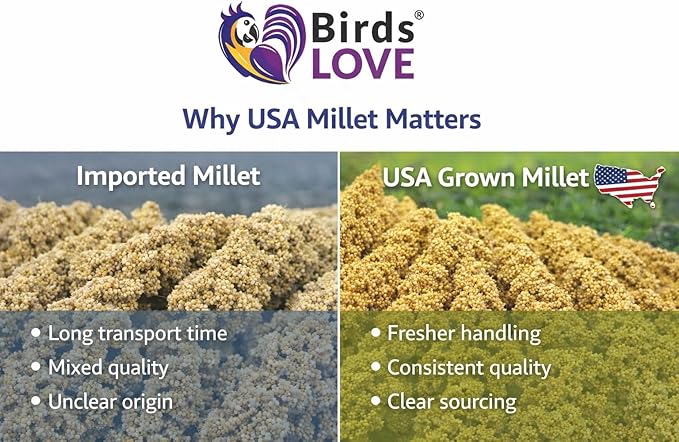1lb Millet Tips & Tails for Birds - Parakeets, Cockatiels, Lovebirds, Finches, Budgies, Canaries, Cockatoos - Natural & Healthy Millet for Birds - Parakeet Food & Treats for All Parrots (2 Pack)