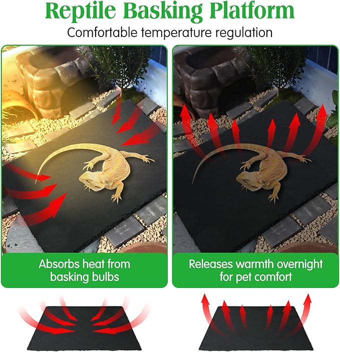 Tfwadmx Reptile Basking Platform Tortoise Feeding Dish Natural Rock Food Bowl Landscape Habitat Decor for Turtle Lizard Bearded Dragon Crested Gecko Snake 2Pcs