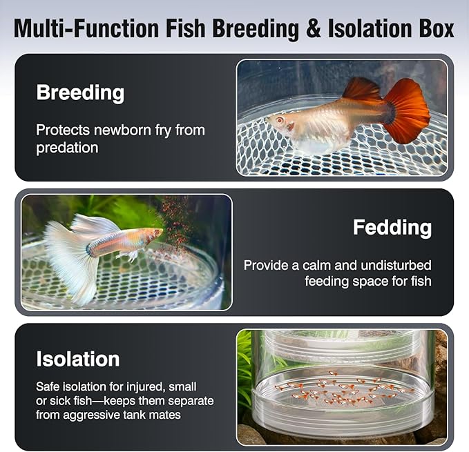 Floating Breeder Box for Fish Tank – Aquarium Isolation Separator Hatchery Incubator for Guppy, Betta, Clownfish, Coral, Baby & Injured Fish