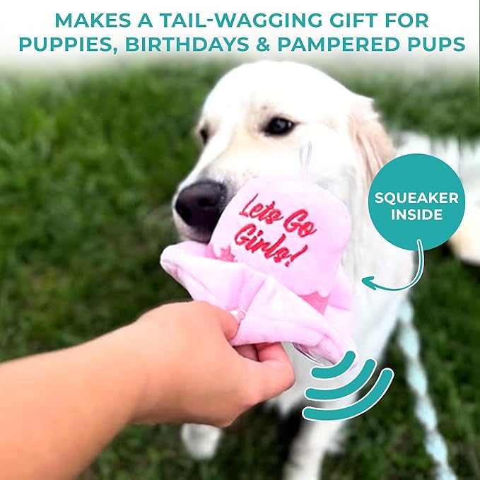 Haute Diggity Dog Cowgirl Hat Plush Dog Toy for Medium & Large Dogs, Western-Inspired Stuffed Dog Toys with Interactive Squeaker, Mesh Lining, Machine-Washable, Durable & Safe, One Size, Pink