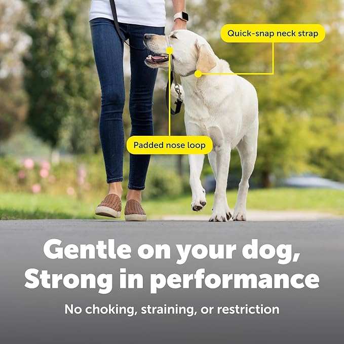 PetSafe Gentle Leader Headcollar No-Pull Dog Collar - Helps Improve Walks - Durable Nylon Construction - Padded Nose Loop - Adjustable Fit - Comfort Walking Halter - Medium, Charcoal
