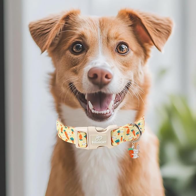 Easter Dog Collar for Medium Dogs - Cute Carrot Bunny Easter Collars for Boy Girl Dogs, Lightweight Adjustable Yellow Cartoon Holiday Dog Collar M