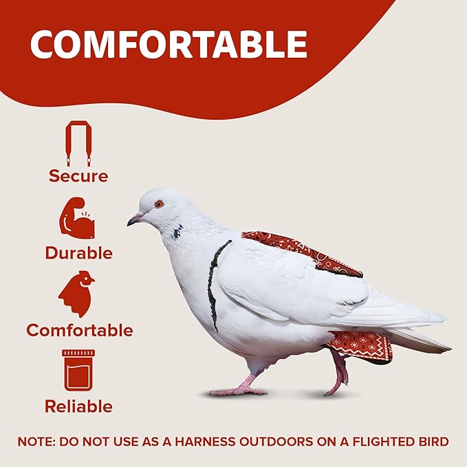 Hen Holster Wrap-Around Bird Diaper & Harness for Larger Pigeons, Small Breed - with Removable Liner, Adjustable Fit for Outdoor Adventures & Indoor Use, Easy to wear - Red Bandana, XS