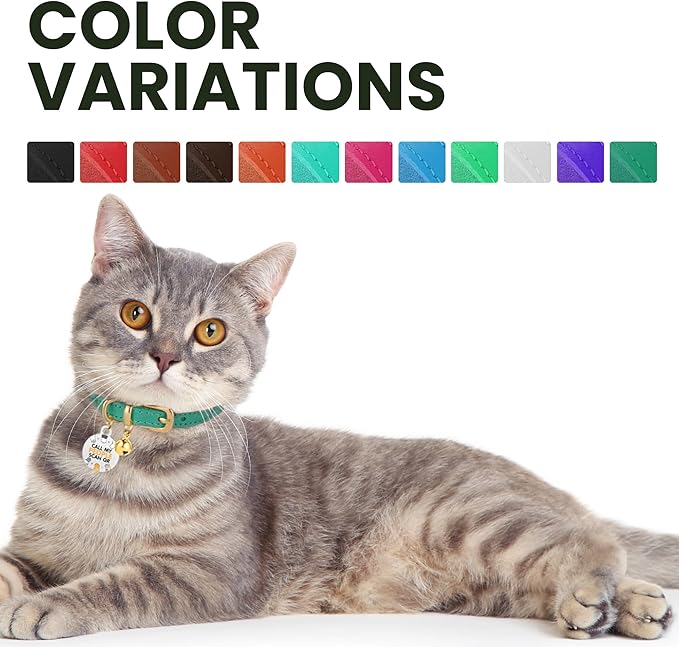 BRONZEDOG Leather Cat Collar with Removable Bells Non Breakaway Kitten QR Tag for Girl Boy (9" - 12" Cats/Mini Dogs, Black & Gold)