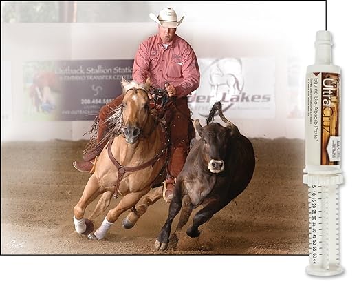 UltraCruz Equine Bio-Absorb Paste, 60 ml