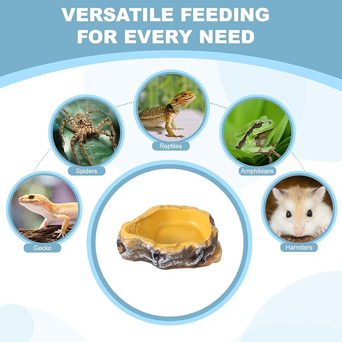 Reptile Food Bowl, Reptile Feeding Dish Corner Bowl Water Resin Rock Worm Feeder Dish l (10.6 in, Yellow), Intended for Lizards/o/Scaled Pet/Leopard o/Spiders