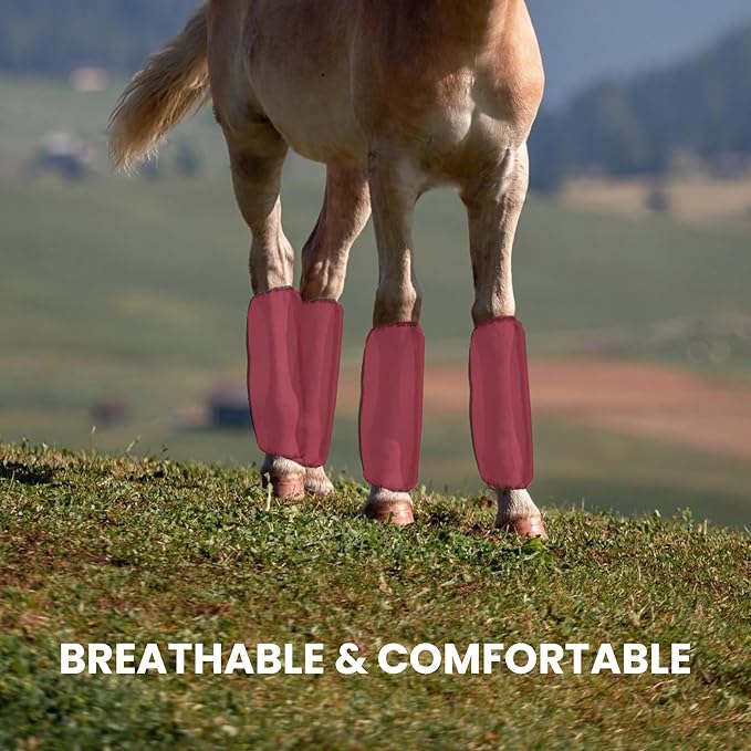 Mesh Fly Boots Horse Fly Boots Mesh Fly Wraps Leg Guard for Horse Set of 4