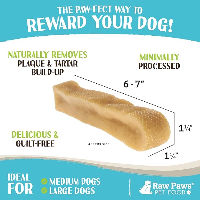 Raw Paws Himalayan Yak Chews for Dogs, Extra Large (4 Pack) - Packed in USA - Tibetan Yak Cheese Dog Chews for Medium to Large Breeds - Hard Milk Dog Chew Bones - Single Ingredient - Long Lasting