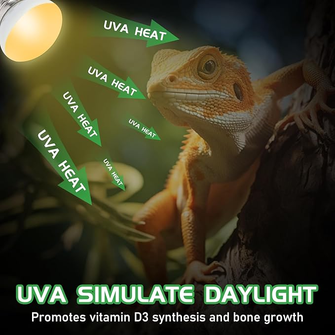 Reptile Heat Lamp Bulbs, UVA Reptile Heat Bulb 2 Pack, 40 Watt Heat Light Bulbs, Daylight Basking Spot Light for Lizard, Bearded Dragon, Snake, Gecko