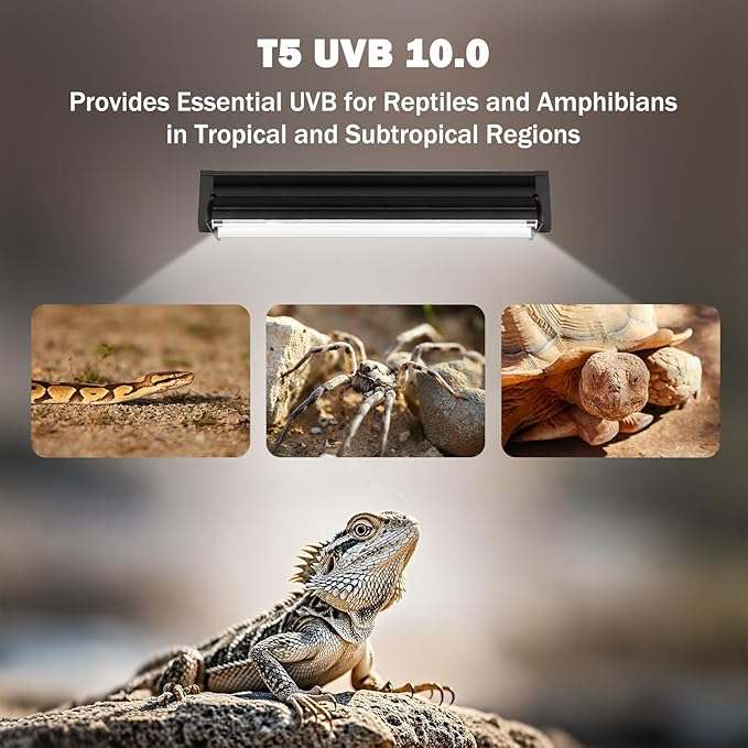 T5 10.0 UVB Reptile Light Fixture, T5 UVA UVB Light Tube Lamp Blub 8W 12" for Bearded Dragon, Tortoise,Desert Lizards,Leopard Gecko,Reptile & Amphibian Lamp