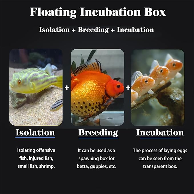 WEAVERBIRD Aquarium Breeder Box, Fish Breeding Box, Acrylic Breeder Isolation Divider Hatching Boxes, Floating Incubation Box, Round Isolation Hatchery Feeding Boxes for Small Fish Fry Hatchery