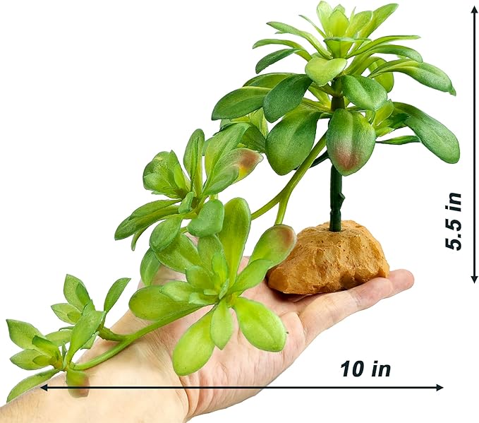 Woyrise Reptile Plants Succulent, Artificial Desert Plant for Terrarium Decor, Bearded Dragon Tank Accessories fit Gecko Lizard Chameleon Ball Python Snake - Sedum Palmeri