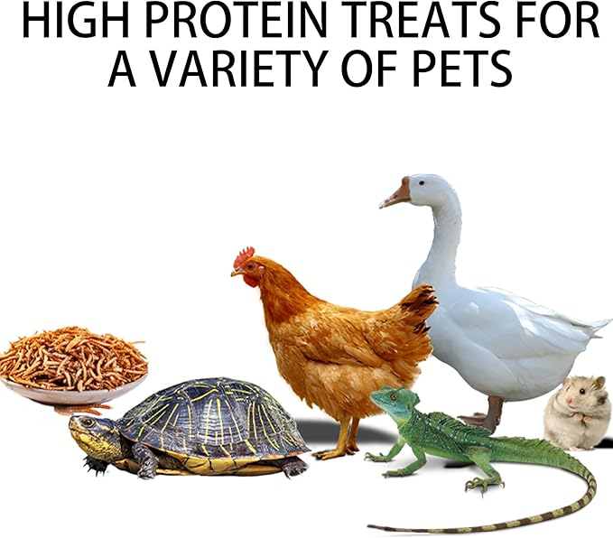 I LOVE WORMS Dried Mealworms (5lb), Wild Bird Food, High-Protein Mealworms for Bluebirds, Chickens, Ducks, Reptile, Tortoise, Amphibian, Lizard