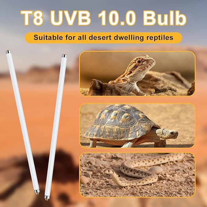 LUCKY HERP T8 18W UVB 10.0 Reptile Light, UVA UVB Reptile Light Bulb 2 Pack, Fluorescent Lamp for Reptiles Amphibians Lizards Chameleons
