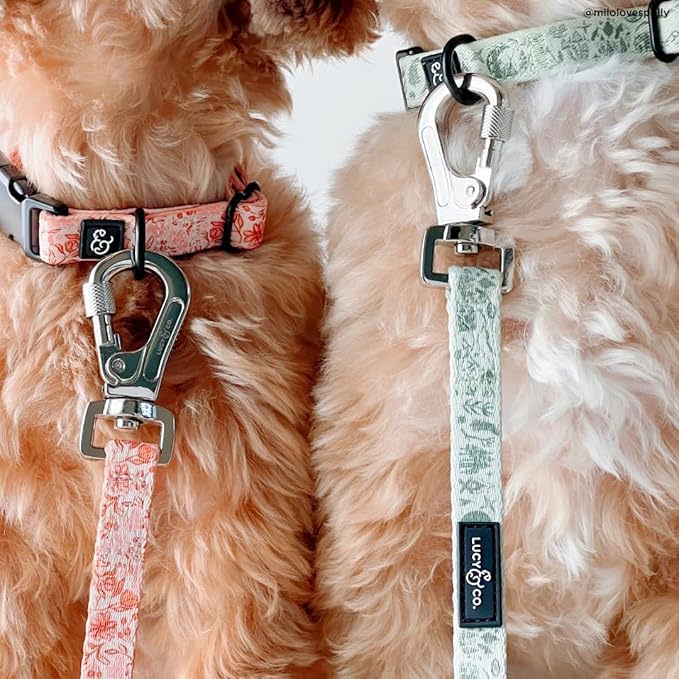 Lucy & Co. Dog Collar - Durable Lightweight Designer Collar for Pets - Adjustable Metal Safety Buckel. - Peach Pink Floral Plaid - Medium