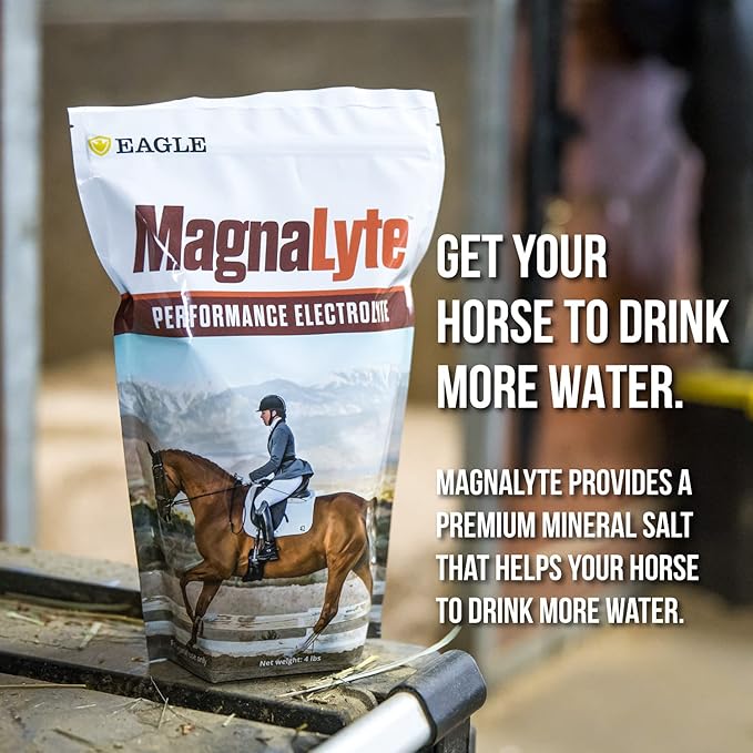 MagnaLyte Loose Salt and Electrolytes for Horses by Eagle Equine | Mineral sea Salt, Trace Minerals, Electrolytes | 4 lb Bag