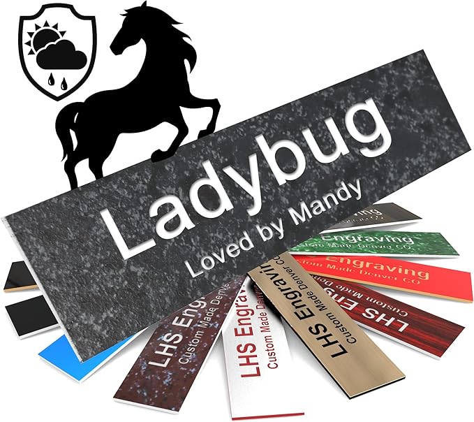 Personalized Horse Stall Name Plates, 2x8 Horse Stall Signs with Adhesive, All Weather UV Protected, Mojave Plastic White Letters - Made in USA - N8