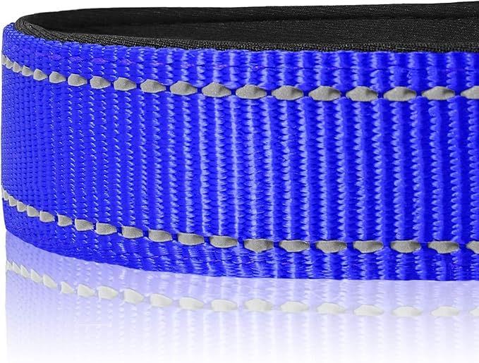 Joytale Reflective Dog Collar, Soft Neoprene Padded, Metal D-Ring, Nylon Pet Collar Adjustable for Small Dogs, Navy Blue, S