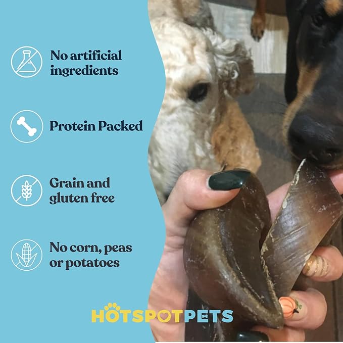 Full-Size Cow Hooves for Dogs (25 Pack) | All-Natural Long Lasting Dog Chews | Made from Grass Fed Cattle | Tasty Treat for Oral Hygiene | Fantastic Alternative for Rawhide and Bully Sticks