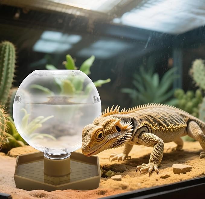 Reptile Water Feeder,Gecko Bearded Dragon Automatic Water Dispenser 12 Oz Amphibians Waterer Dish Terrarium Bowls for Lizards Turtles Snake Frog,Round Shaped