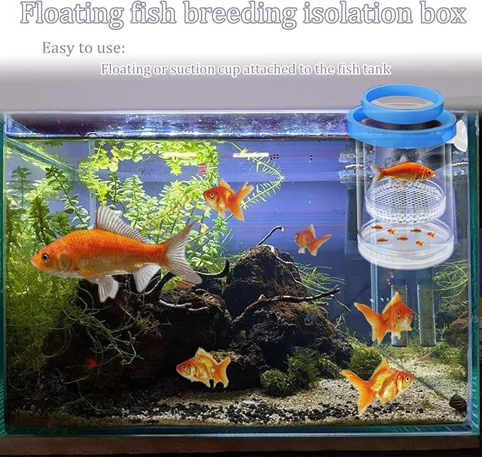 Upgrade Floating Fish Breeding Isolation Box Plastic Mesh Hatchery Incubator Breeder Box BlueLarge