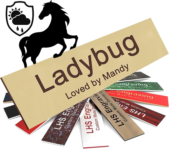 Personalized Horse Stall Name Plates, 2x6 Horse Stall Signs with Adhesive, All Weather UV Protected, Ivory Plastic with Brown Letters - Made in USA - B5