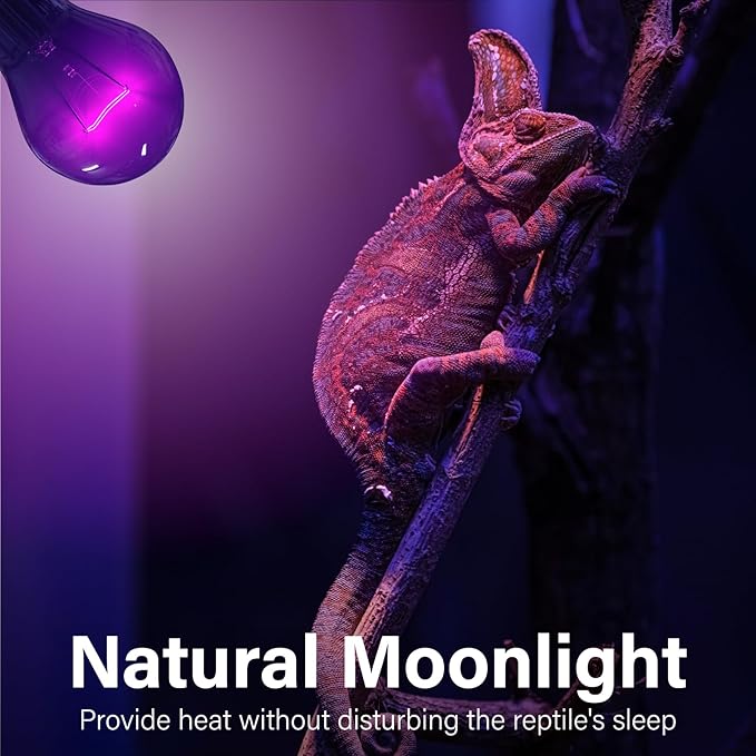 Reptile Heat Lamp Bulbs-100W Tortoise Night Heat Bulb E26 Terrarium Heat Lamp Simulate Natural Moon Purple Light for Snake Bearded Dragon Leopard Gecko Lizard Chameleon-2Pack