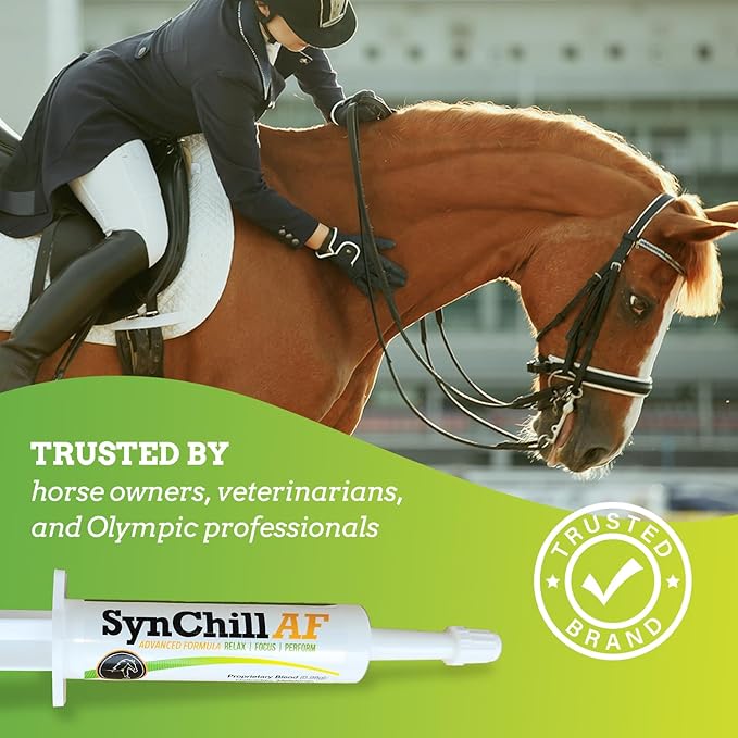 SynChill AF Calming Gel for Nervous Horses - Single Serving - Advanced Formula with L-Theanine, Increased Potency, 100% Natural Supplement, Disposition & Confidence Support for Horses - 10 Pack
