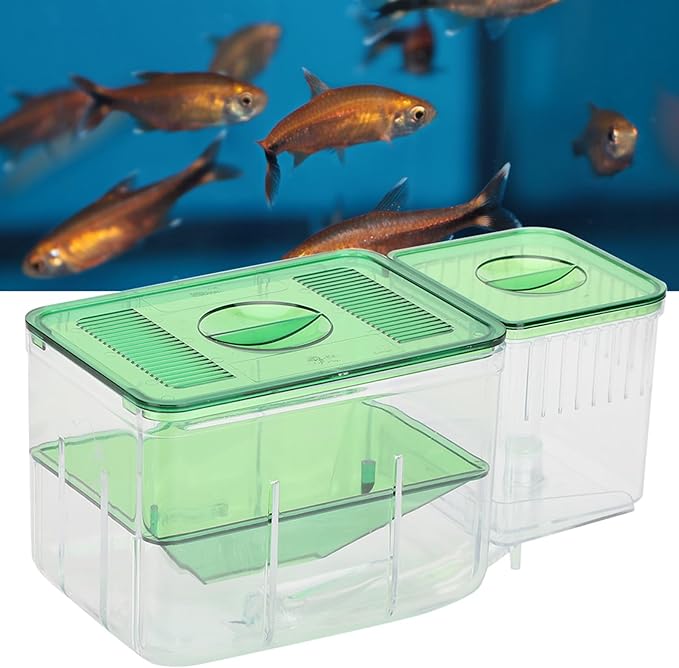 Breeder Box for Fish Tank, Breeding Transparent Aquarium Little Hatching Tanks Double Layer Isolation Hatchery Incubator Injured Small Shrimp Nursery Tank Divider Safe Separation