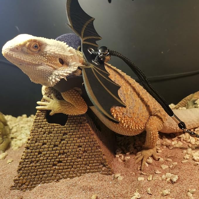 Bearded Dragon Lizard Backpack Carrier with Harness and Leash Set, Small Animal Carrier Backpack, Space Capsule Bubble Window, Small Pet Carrier Backpack, Airline Approved(Green)