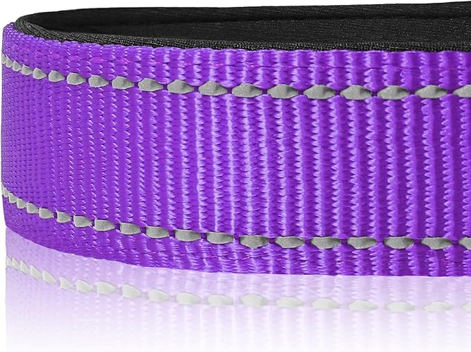 Joytale Reflective Dog Collar, Soft Neoprene Padded, Metal D-Ring, Nylon Pet Collar Adjustable for Medium Dogs, Purple, M