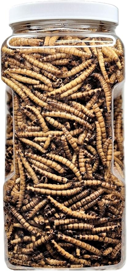 Aquatic Foods Inc. Superworms- Freeze Dried Superworms for Tropical Fish, Reptiles, Turtles, Tortoises, Frogs, Hamsters, Birds, Rodents…3oz Small Jar