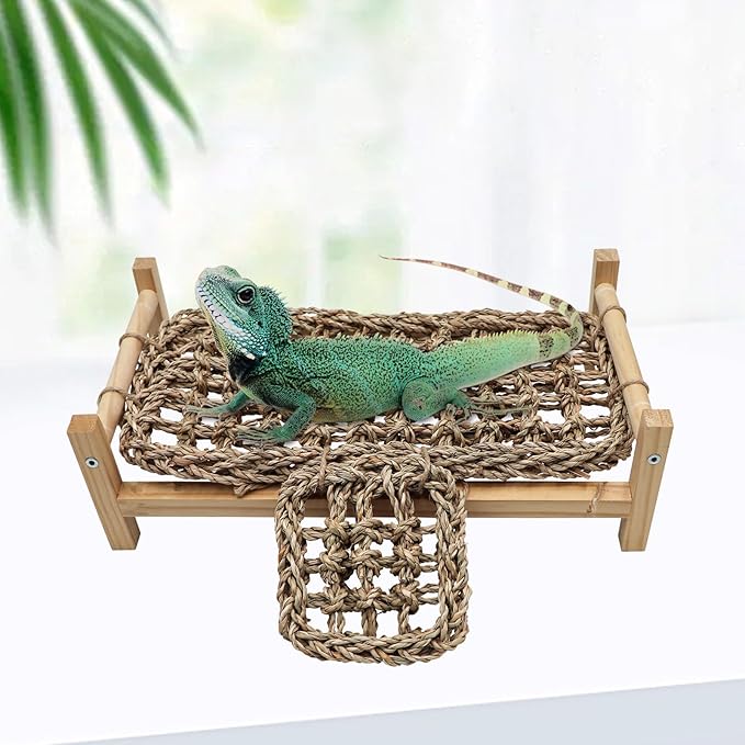 Dnoifne Bearded Dragon Bed with Climbing Ramp - Natural Wood and Seagrass Hammock, Reptile Tank Basking Platform Accessories for Leopard Gecko Lizard Frog - 12.6 × 7.1 × 3.9 inch